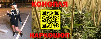 марихуана Аргун