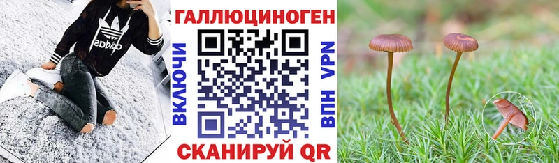 Псилоцибиновые грибы MAGIC MUSHROOMS даркнет сайт Балахна
