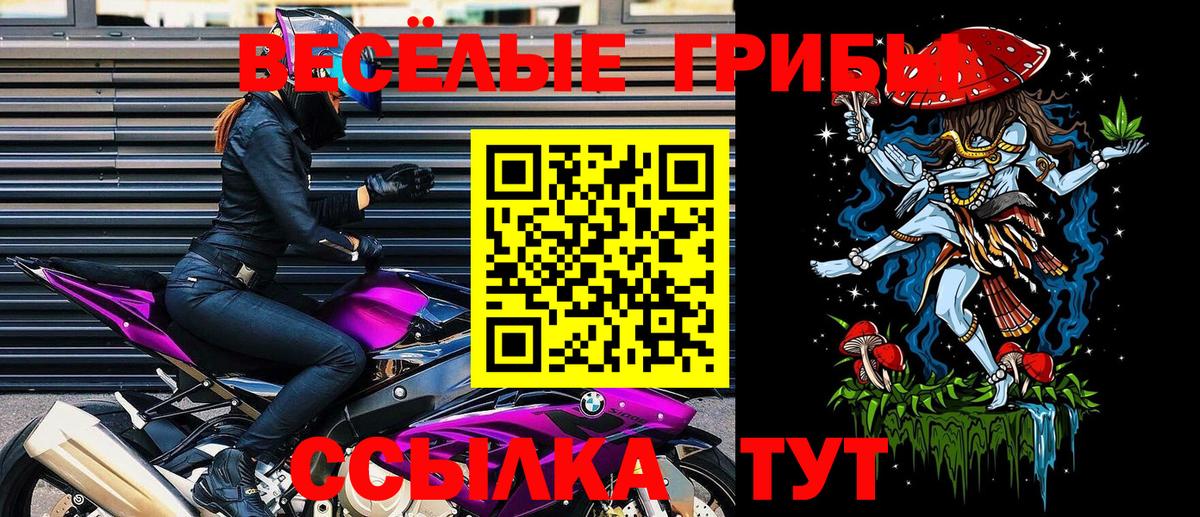 Псилоцибиновые грибы GOLDEN TEACHER Балахна