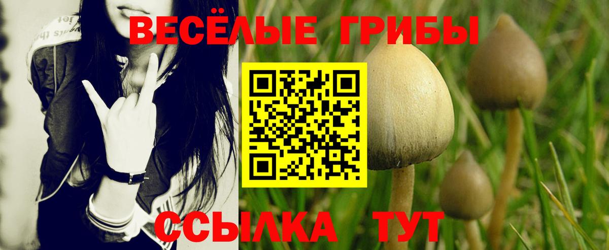 Галлюциногенные грибы ЛСД  Галлюциногенные грибы ЛСД  Балахна  Вход с VPN 