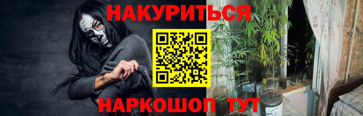 Конопля Ganja  Конопля ГИДРОПОН  Бошки марихуана планчик  Балахна 